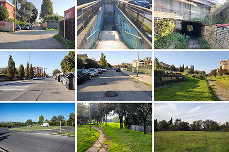 alcune immagini dell'ambito Campo Farnia