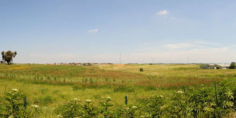 DA-004_390-394
